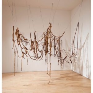 Photo of Eva Hesse's sculpture, No Title, of 1969-70 made of ropes, strings, wires and latex anchored to the ceiling.