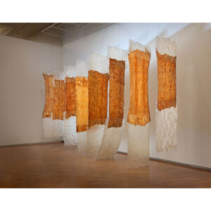 Photo of Eva Hesse's sculpture, Contingent, of 1969 made of 8 panels of cheesecloth, latex and fiberglass hanging on the ceiling.